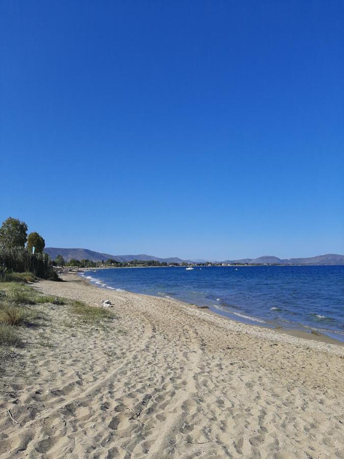 Cozy Flat In Nea Makri Apartment Exterior foto